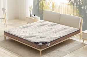 91视频专区成人91视频污紫云