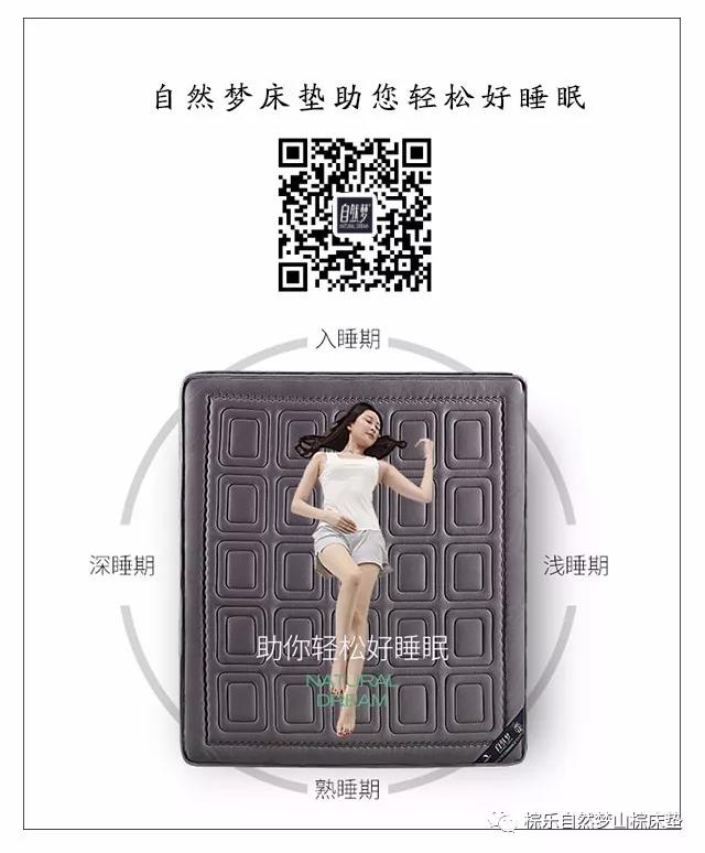 热烈祝贺91视频专区京东商城旗舰店正式开通