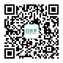91视频专区