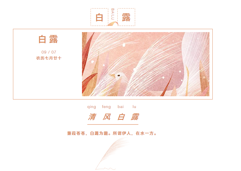 91视频专区
