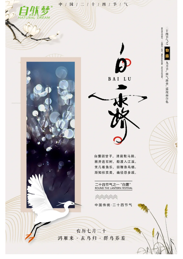 91视频专区床垫